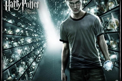 Harry Potter   Harry Potter & The Order Of The Phoenix Wallpapers ...