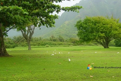 Windows 8 wallpaper 20.jpg