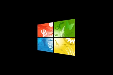 Windows 8 Wallpapers Color By TravisLutz On DeviantArt
