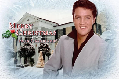 Elvis Presley Free Wallpapers (5 Photos) For Your Desktop ...