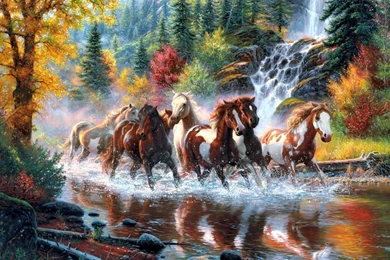 Horse Wallpapers Desktop Backgrounds (15) — DownloaDeer. Simply The ...