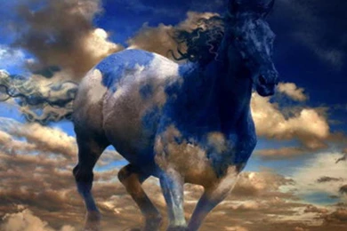 Horse Wallpapers Desktop   Wallpapers Cave