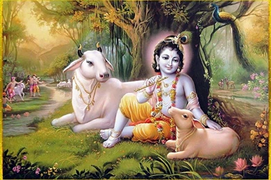 Sri Krishna 3d Wallpapers   Full HD Wallpapers For Desktop, Mobile ...