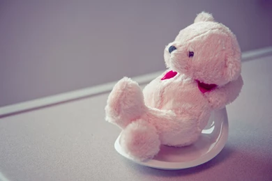 Teddy Bear Cute Wallpapers