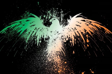 Beautiful Eagle HD Wallpapers 2015   Etc FN