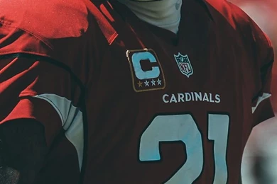 Patrick peterson a.jpg