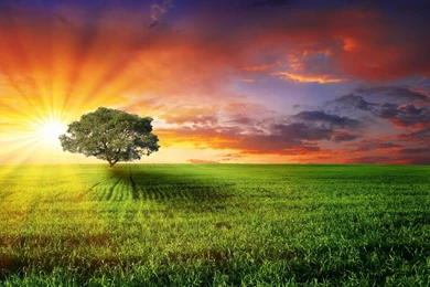 Windows 8 Wallpapers