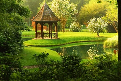 Hd Desktop Images, Large Wallpapers, Windows Backgrounds, Plants ...