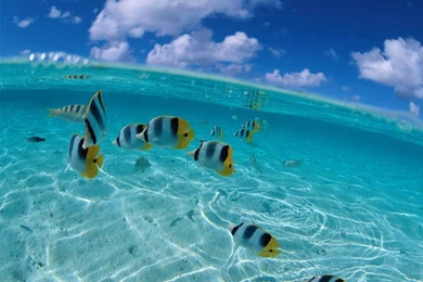 Marvelous hd desktop wallpapers of ocean free ... Http://www ...