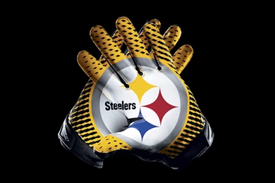 1024x768px Steelers Nation