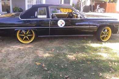 Arizona Cardinals Archives   Total Steelers » Total Steelers