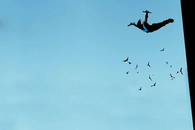 Nightwing Wallpapers   Wallpapers Cave