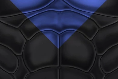 Nightwing Wallpapers