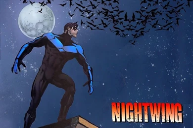 Nightwing Wallpapers   Robin/Dick Grayson/Nightwing Wallpapers ...