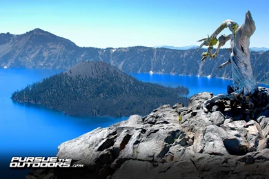 Free Desktop Wallpapers   Hunting, Fishing, Wildlife, And Nature ...