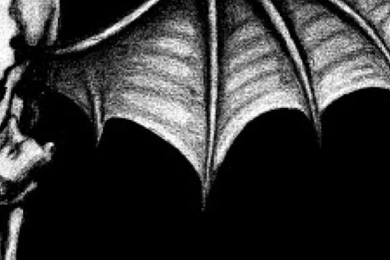 Free Avenged Sevenfold Ha iPhone Wallpapers