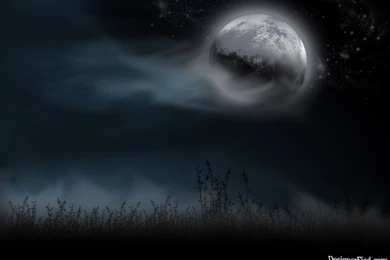 Free Cosmic Fog Wallpapers