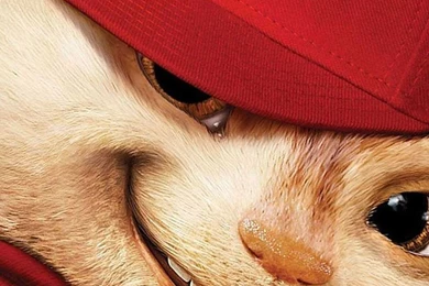 iPhone 4 640 X 960 Alvin And The Chipmunks Wallpapers And ...