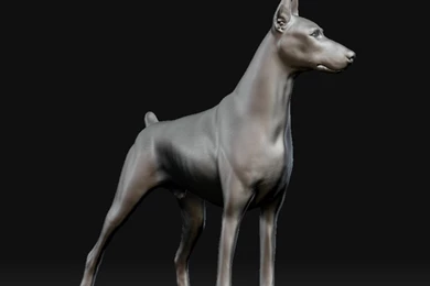 Wallpapers Digital Free Doberman The 1024x768