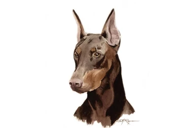 The Doberman Painting Wallpapers And Images   Wallpapers, Pictures ...