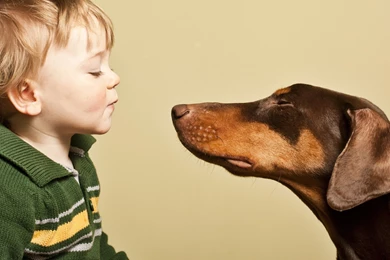 Mood, Boy, Picture, Beauty, Dog, Doberman, Friendship, Photo, Hd