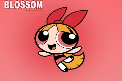 Powerpuff Girls Costumes For Teenagers   Wallpaper.