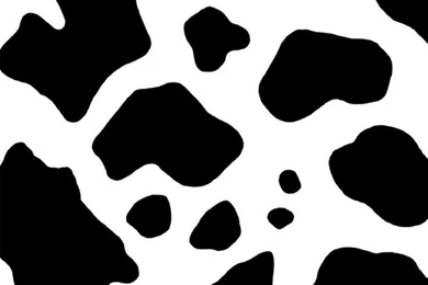 Animal Print For PC 35719 Wallpapers Wallpapers