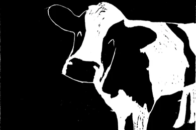 Happy Cow By GangsterElf On DeviantArt