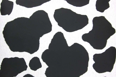 Cow Pictures To Print : Free Coloring Pages   Viewcoloring