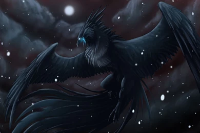 Pokemon Computer Wallpapers, Desktop Backgrounds