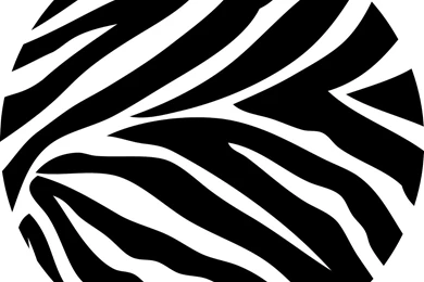 Animal   Wallpapers & Border