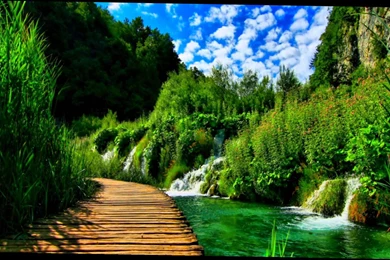 Computer Wallpapers Nature   3 Items