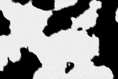 Pic > Black Spot Wallpapers