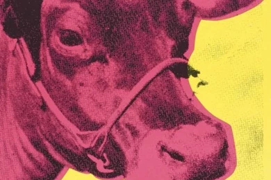 Andy Warhol Cow Wallpapers [Pink On Yellow] 1966 Screen Print On ...