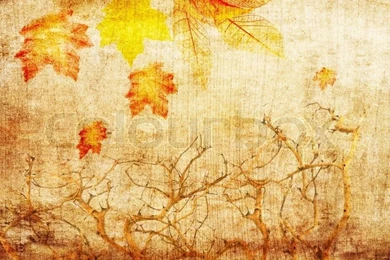 Grunge Abstract Fall Backgrounds With Trees And Colorful Leaves ...