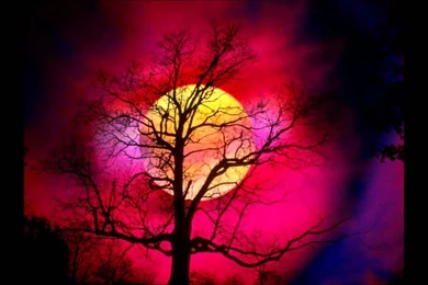 Pinkish Sunset Wallpapers