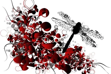 Dragonfly Backgrounds Wallpapers 20826