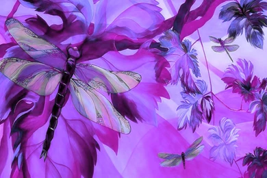 Dragonfly Garden   (