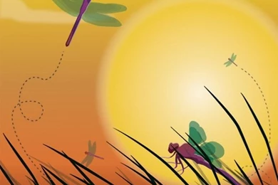 Dragonfly Vectors, Photos And PSD Files