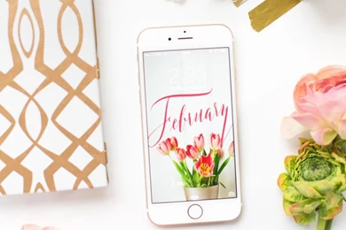 FdL Blogs   Fleur De Letters