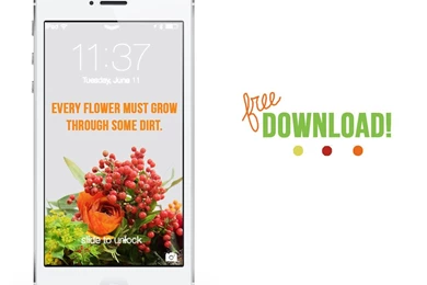 Wallpapers – Leah Sprague