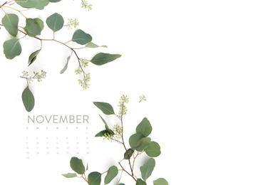 Happy November! Desktop + iPhone Wallpapers