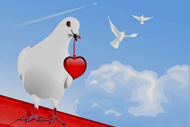 3D Wallpapers HD 3d Heart With Lovely Bird Wallpapers High Quality ...
