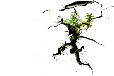 Free Wallpapers   Free Art Wallpapers   Design 18 Wallpapers ...