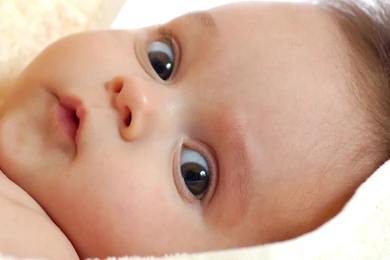 Desktop baby puppys wallpaper.jpg