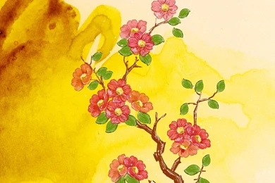 Floral Art Design   Floral Illustration   Floral Pattern   Flower ...