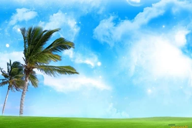 YouWall   Blue And Green Wallpapers   Wallpaper,wallpapers,free ...