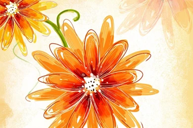 Floral Art Design   Floral Illustration   Floral Pattern   Flower ...