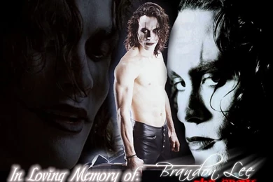 In Loving Memory   The Crow Wallpapers (13365907)   Fanpop