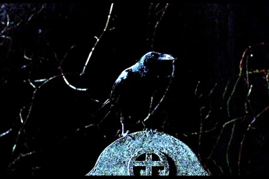 THE CROW Action Fantasy Dark Gothic Brandon Lee Crow (11 ...